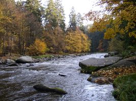 Sázava 11 P-Stvořidla 26.10.06 (4).jpg